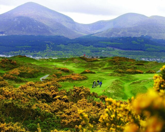 Royal County Down